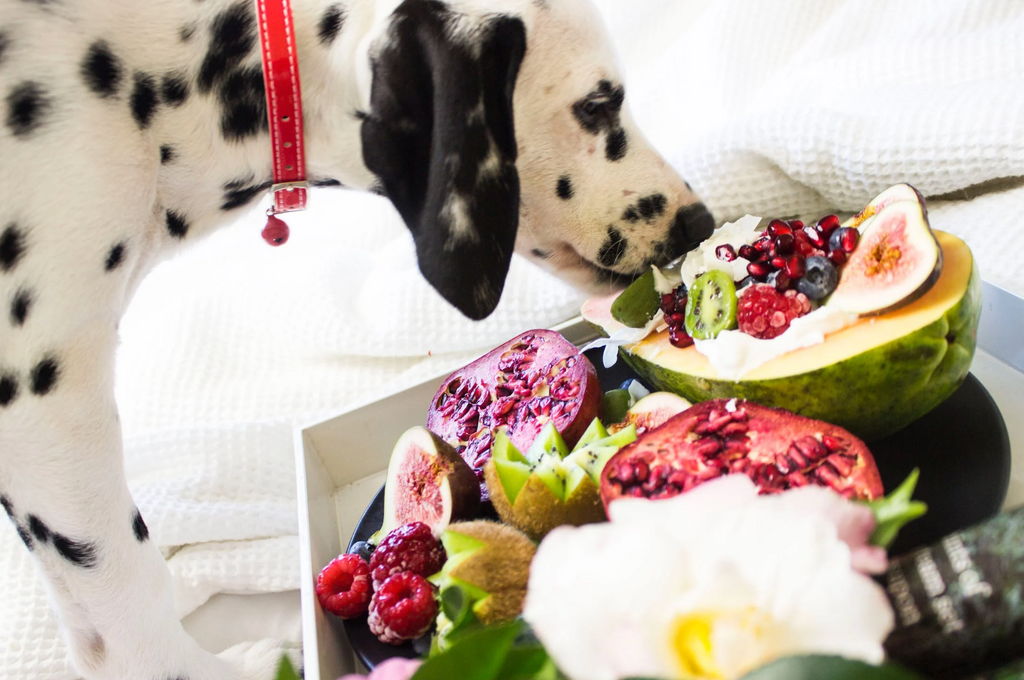 Superfoods for Pets: How to Boost Your Pet's Health with the Right Foods