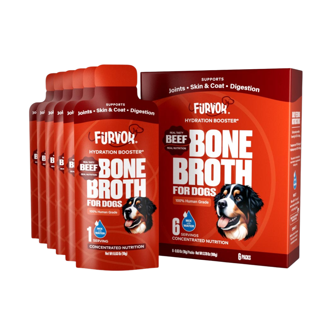 Bone Broth Hydration 18 Pack - Beef — Furvor bone broth concentrate for dogs