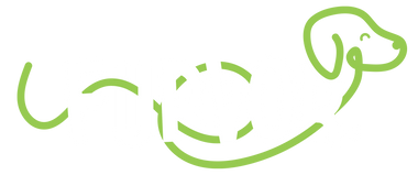 Furvor Logo