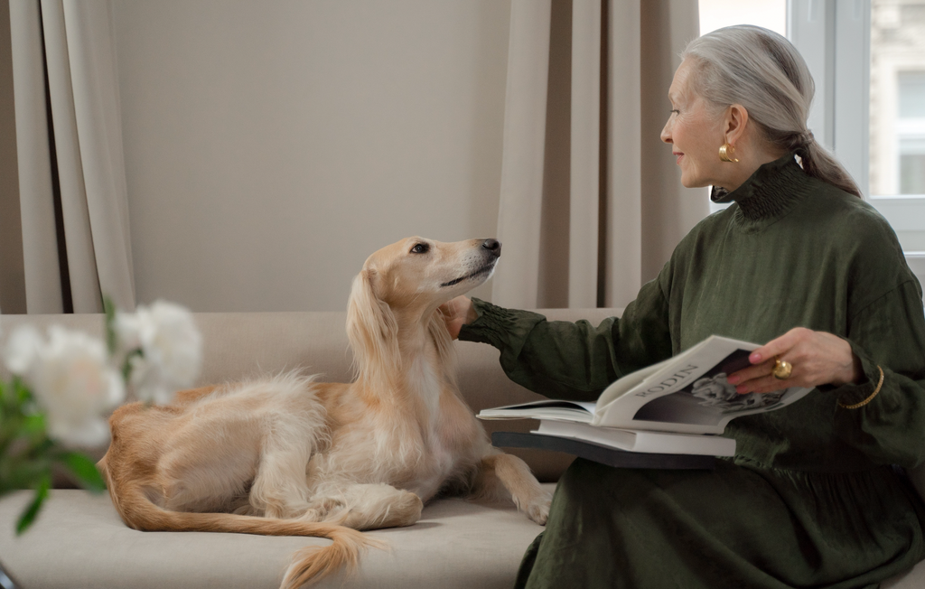 The Powerful Benefits of Bone Broth for Senior Dogs