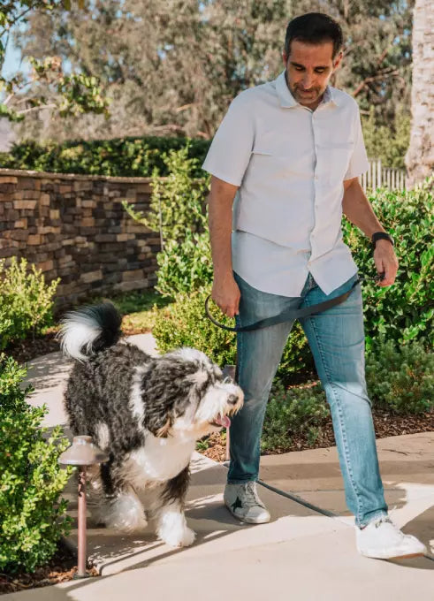 man walking with their pup outside