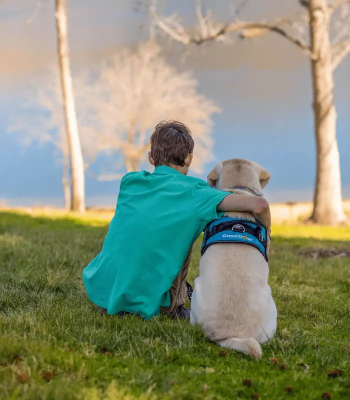 Dog and owner with Furvor in the field