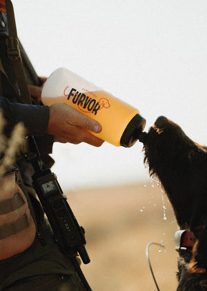 Owner giving their dog a drink of Furvor bone broth hydration from a squeeze bottle in the field