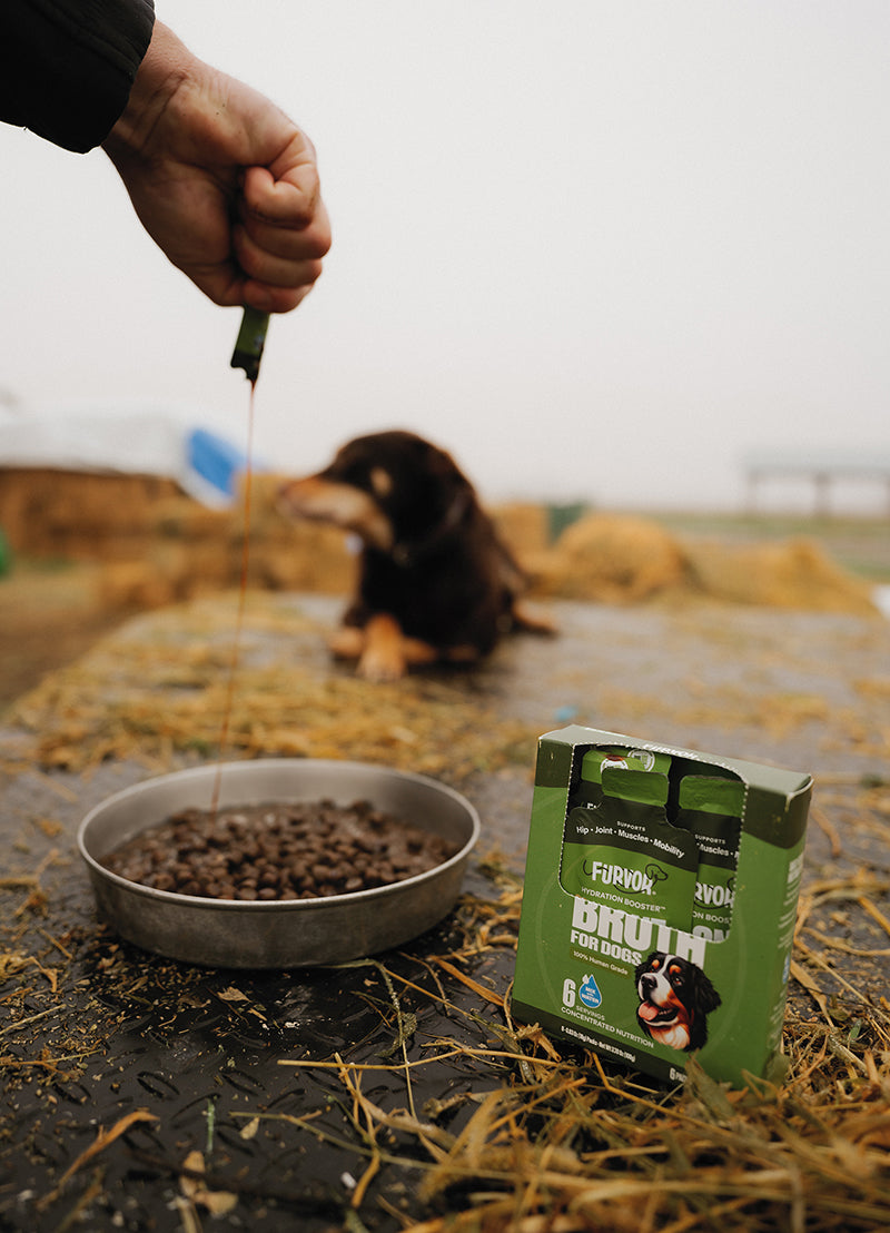 Furvor bone broth concentrate for dogs being poured