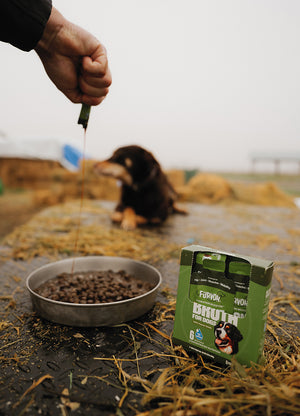 Furvor single-serve pack drizzled over kibble in a bowl outdoors while a dog waits nearby