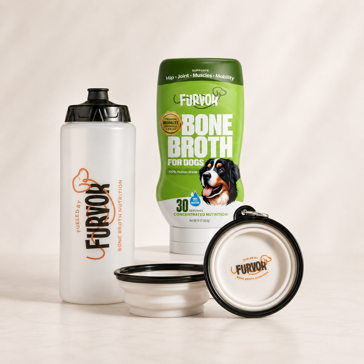 Furvor 2-Week Challenge Kit — squeeze bottle, 16oz Mobility Bone Broth, and collapsible bowl