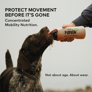 MOBILITY BONE BROTH - Beef Flavor