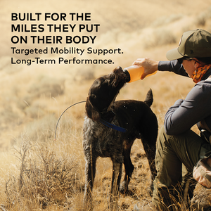 MOBILITY BONE BROTH - Beef Flavor