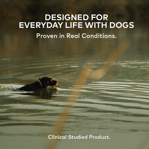 Designed for everyday life with dogs — dog swimming in a lake; clinically studied product