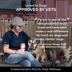 Loved by dogs, approved by vets — Dr. Summer Winger, DVM, with her bulldog, recommending Furvor for daily wellness