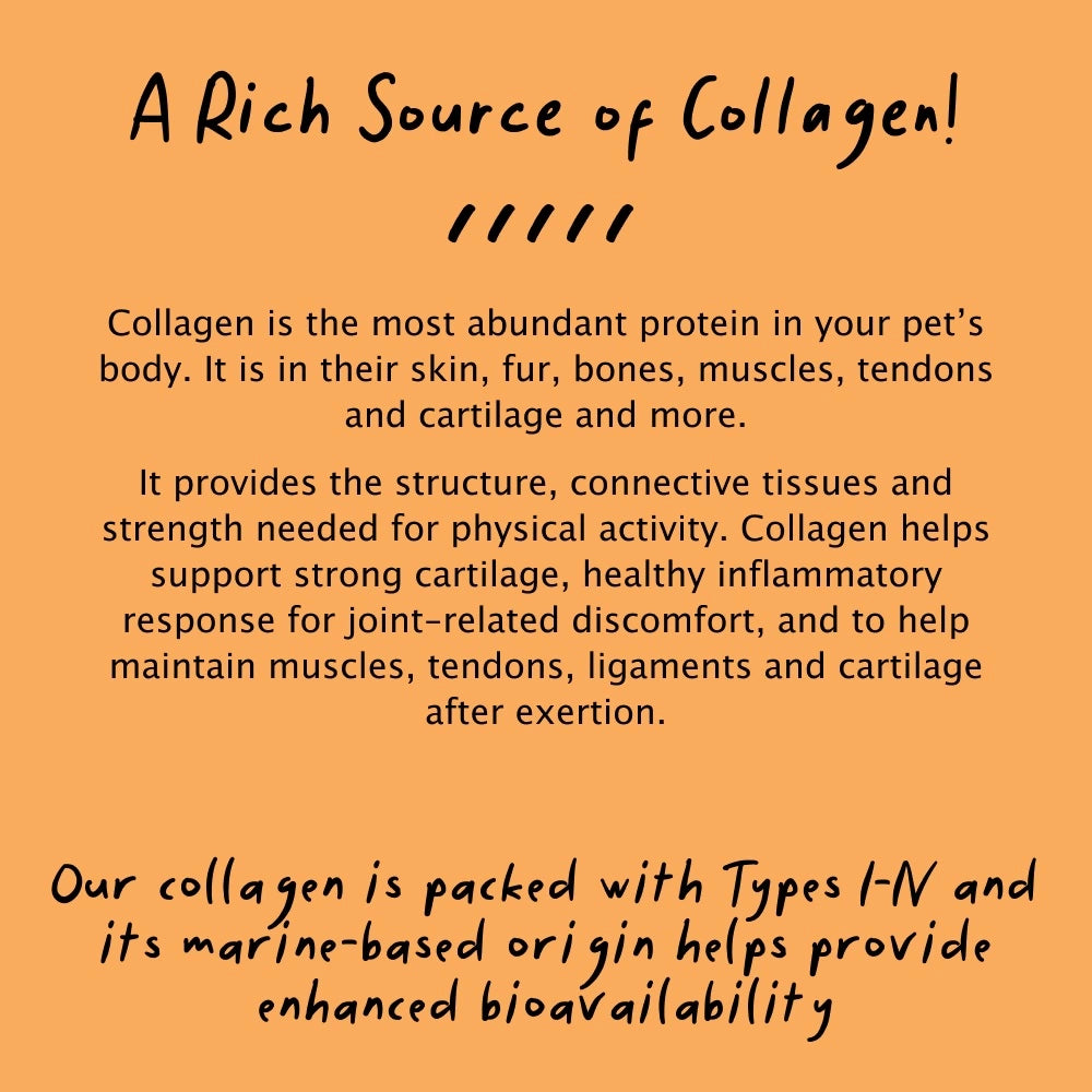 rich source of collagen description - mobility chews